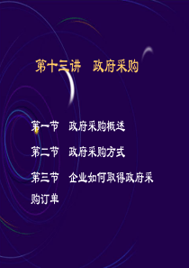 第13章 政府采购