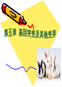 基因突变和基因重组(整理)