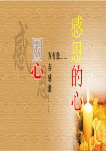 《感恩的心》手语操音乐课件