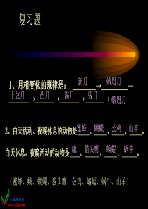 小学五年级科学上册《光的行进》课件