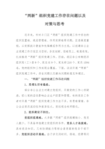 “两新”组织党建工作存在问题