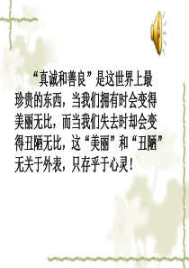 《快乐王子》教学课件