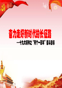 95十九大精神系列--“两个一百年”奋斗目标