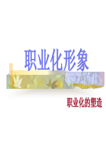 职业化形象培训