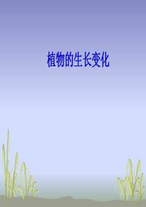 《植物的生长变化》