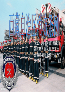 新西藏自治区消防条例