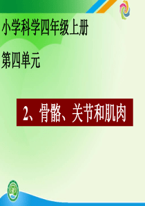 骨骼、关节和肌肉(修改后定稿)
