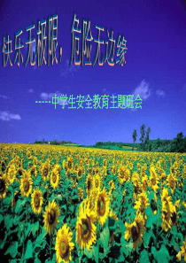 中学生安全教育 ppt课件