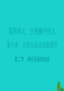 广东省2015-2016七年级生物下册 第6章 第二节 神经系统的组成导练课件