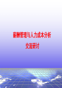 薪酬管理与人力成本分析(richard)