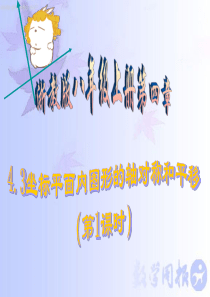 4.3 坐标平面内图形的轴对称和平移(第1课时)