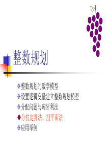 4.3-分枝定界法和割平面法