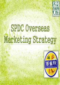 百雀羚英文版国际营销策划PPT