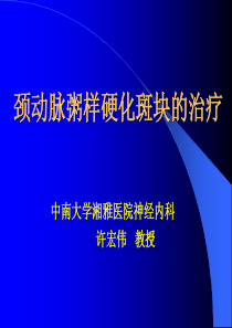 颈动脉斑块讲稿