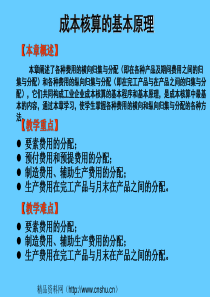 成本核算的基本原理(ppt196)
