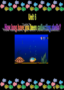 Unit6 How long have you been collecting shells