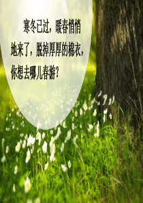 部编版-口语交际：春游去哪儿玩-ppt课件完美版2