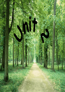 人教版七年级英语unit2-复习课件