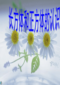 长方体与正方体的认识ppt