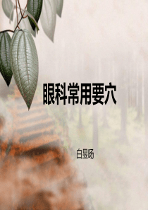 眼科常用要穴-2