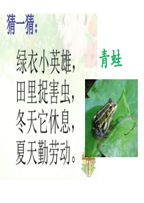3小青蛙