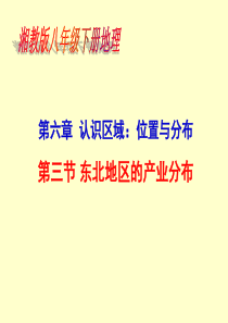湘教版-八下地理-第六章第3节