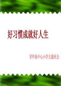 《小学生习惯养成主题班会》ppt课件