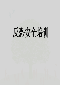 反恐安全培训---一