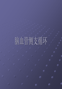 侧支循环