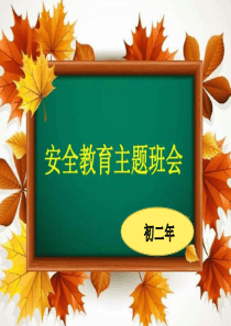 中小学生安全教育日ppt