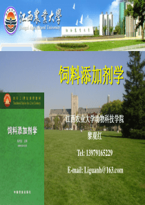 第三章--营养性添加剂(维生素添加剂)