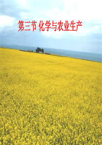 第三节化学与农业生产课件