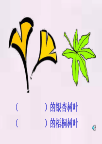 2年级第三册语文19蓝色的树叶_课件[1]