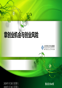 创业机会与创业风险概述(PPT-70张)