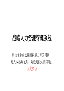 战略人力资源管理系统
