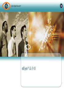 eEye产品介绍