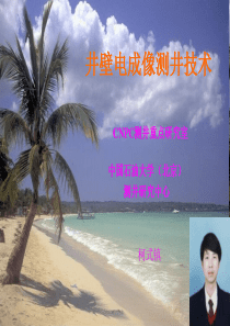 井壁电成像测井