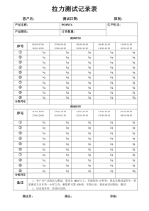 拉力测试记录表