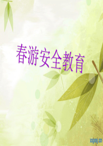 春游安全教育主题班会