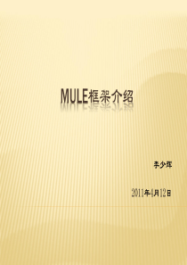 MULE开发