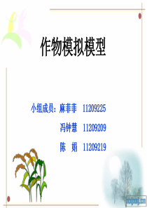 作物模拟模型