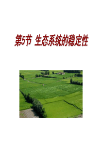 2013年高考生物查漏补缺复习精品课件：生态系统的稳定性(2)(人教版必修3)