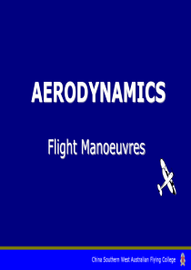 Chapter 2 - Flight Manoeuvres