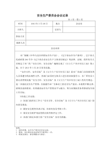 安全委员会会议记录