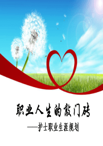 护士职业生涯规划PPT作品