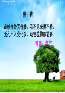 苏教版小学科学四年级上册《空气的性质》ppt课件