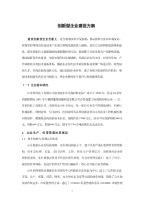 创新型企业建设方案