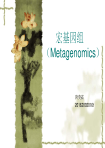 宏基因组-PPT