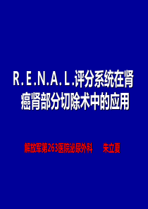 RENAL评分系统在肾癌肾部分切除术中的应用