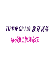 ERP SAP资料 票据资金管理系统